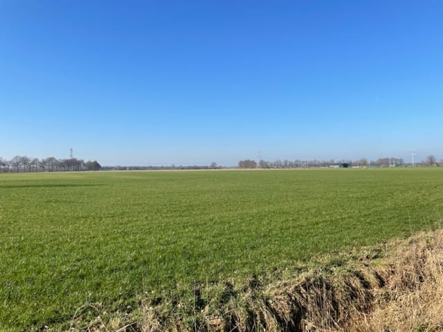Foto 5 van Biesthoek, kavel 2
