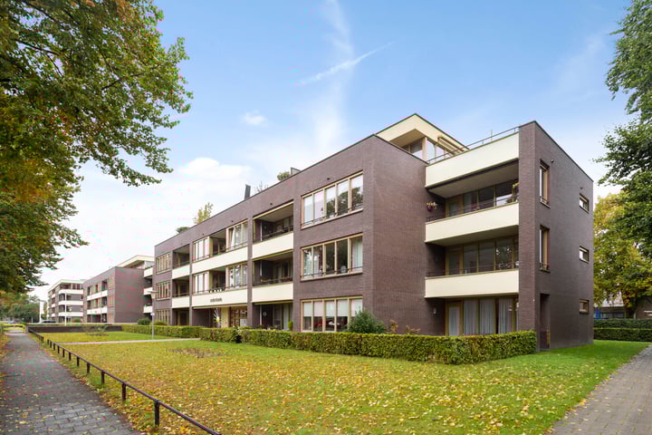 de Bontstraat 231