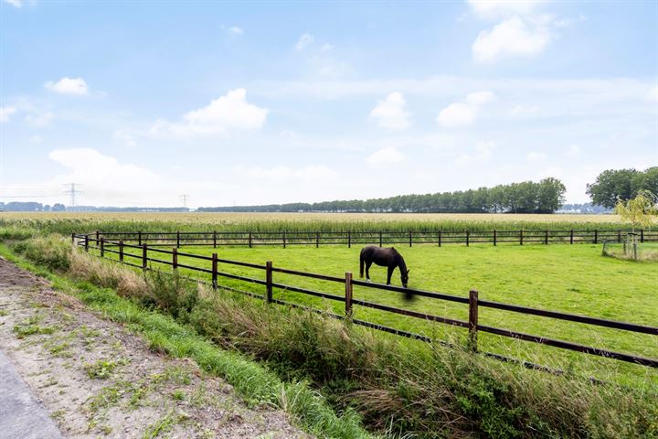 Bekijk foto 34 van Hollestelleweg 13