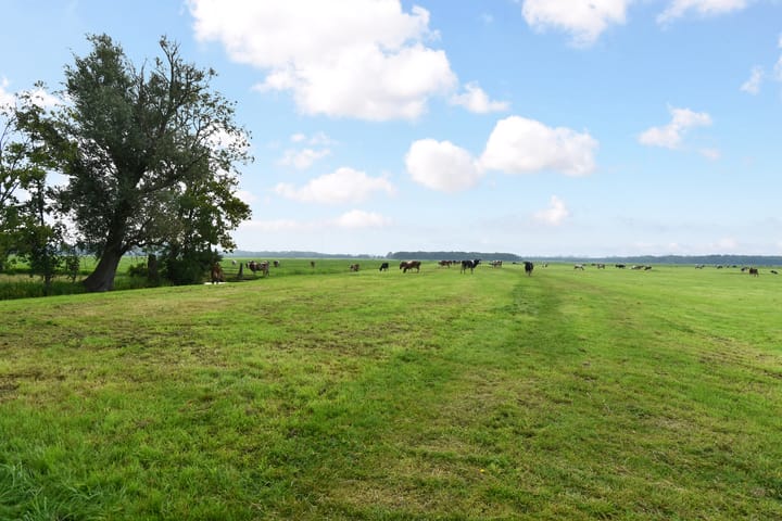 Foto 80 van Raaphorstlaan 11