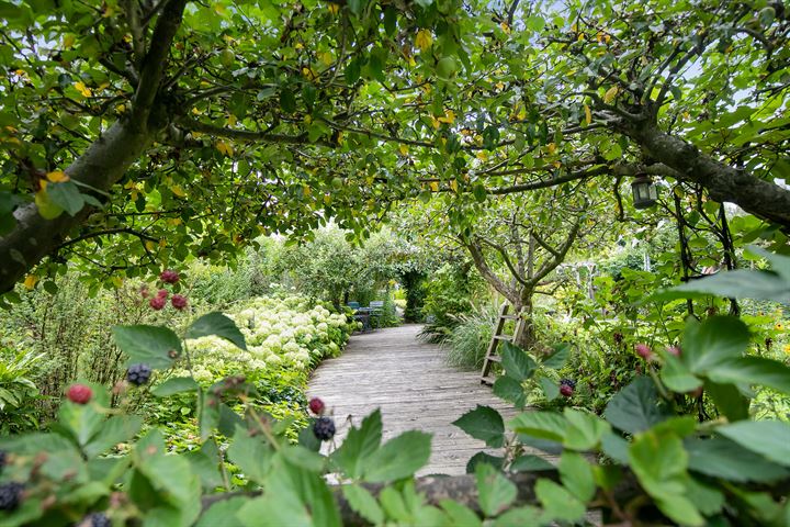 Bekijk foto 35 van Oirschotseweg 14