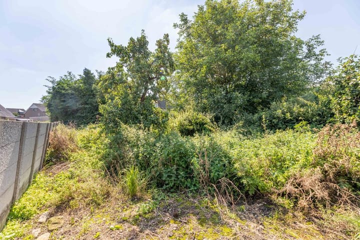 Foto 5 van Langwijkstraat