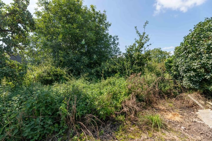 Foto 6 van Langwijkstraat