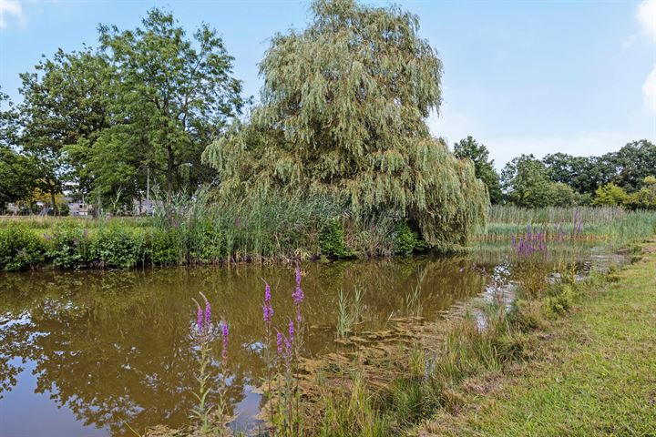 Bekijk foto 48 van Dikkersbos 6