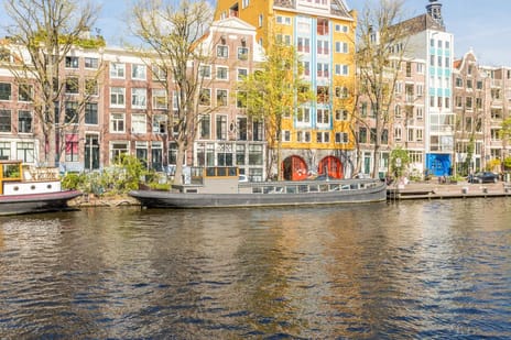 undefined main image