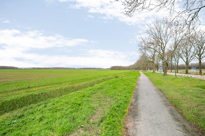 Foto 45 van Grintweg 55