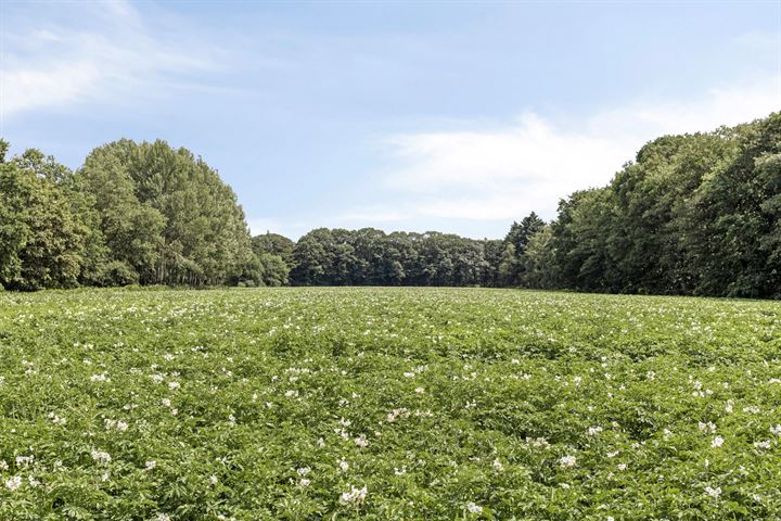 Bekijk foto 35 van Brandenborchweg 5