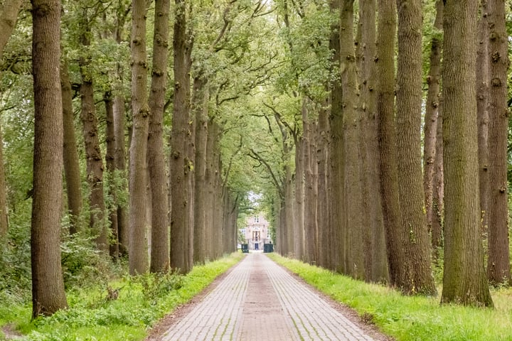 Bekijk foto 53 van Driehoekweg 26