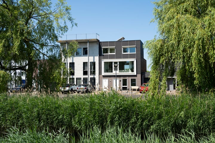 Mosselplaat 12