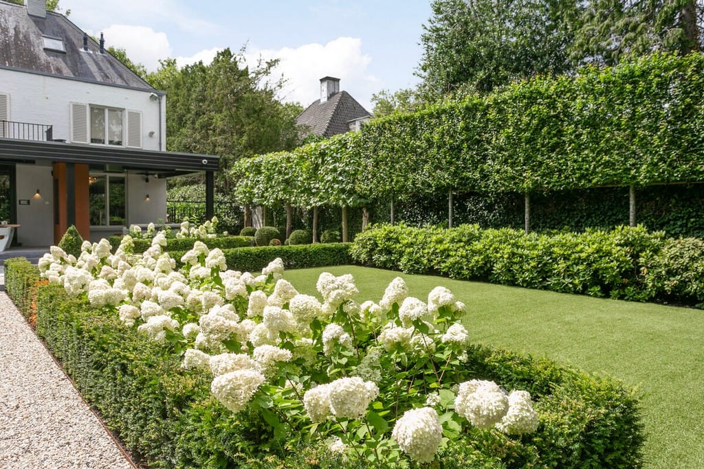 Foto 66 van Dr Schaepmanlaan 14