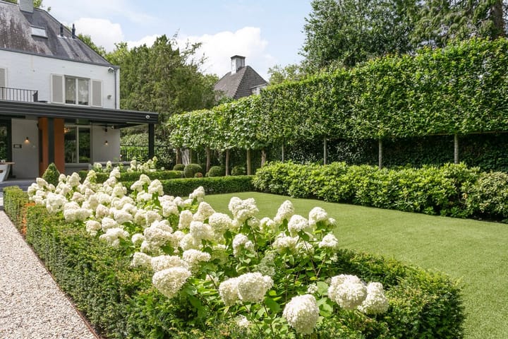 Photo 66 of Dr Schaepmanlaan 14