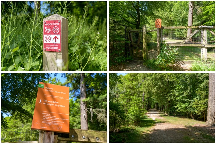 Bekijk foto 4 van Stoppelbergweg