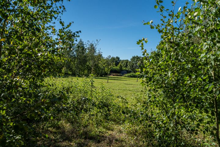 Bekijk foto 51 van Nieuwenhofweg 10