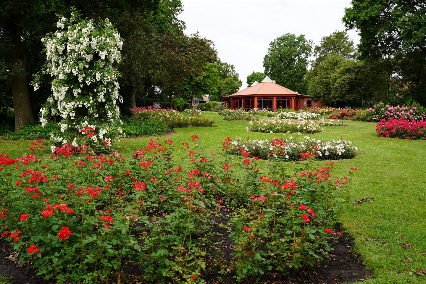 Bekijk foto 1 van Parklaan 1 A