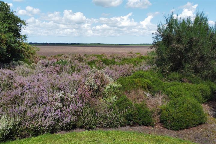 View photo 62 of Achterdiep Noordzijde 74