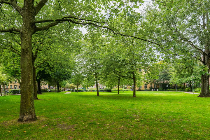 Bekijk foto 43 van Oostenburgervoorstraat 242