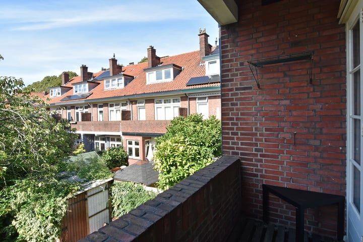 Bekijk foto 38 van Hofwijckstraat 49