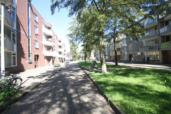 Bekijk foto 6 van Streefkerkstraat 48