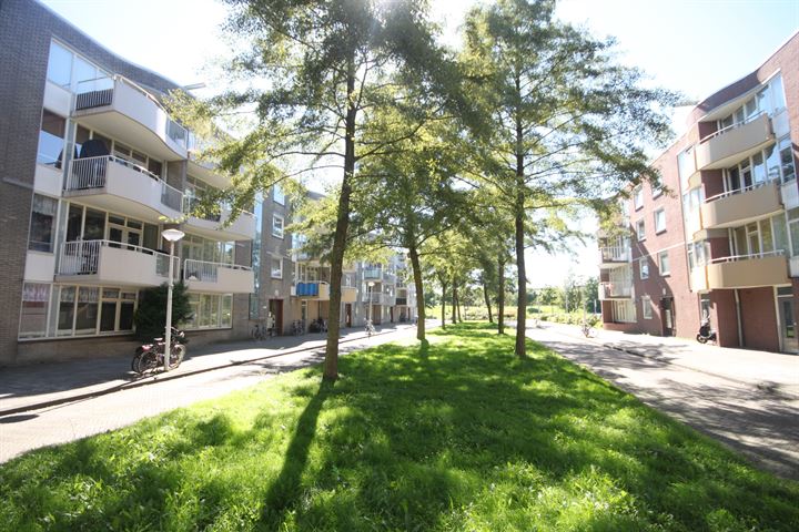 Bekijk foto 7 van Streefkerkstraat 48