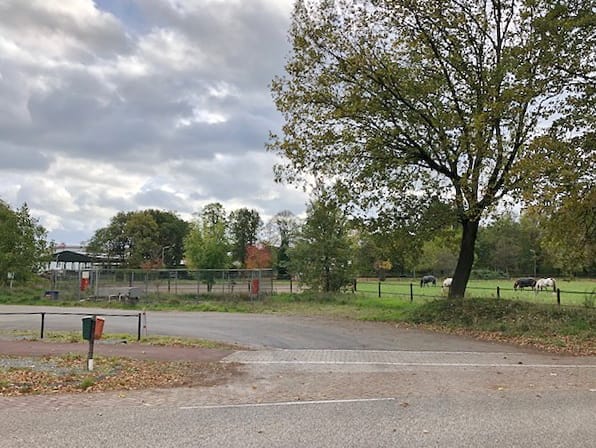 Bekijk foto 4 van Herungerberg 312