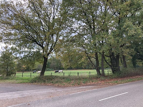 Bekijk foto 5 van Herungerberg 312