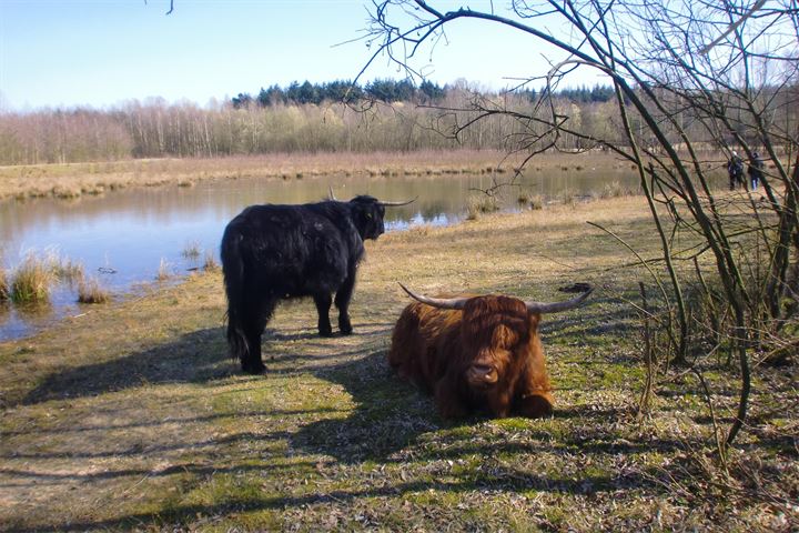 Bekijk foto 28 van Cuneraweg 100-A