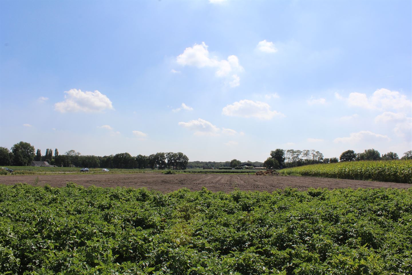 Bekijk foto 4 van Huijbergseweg