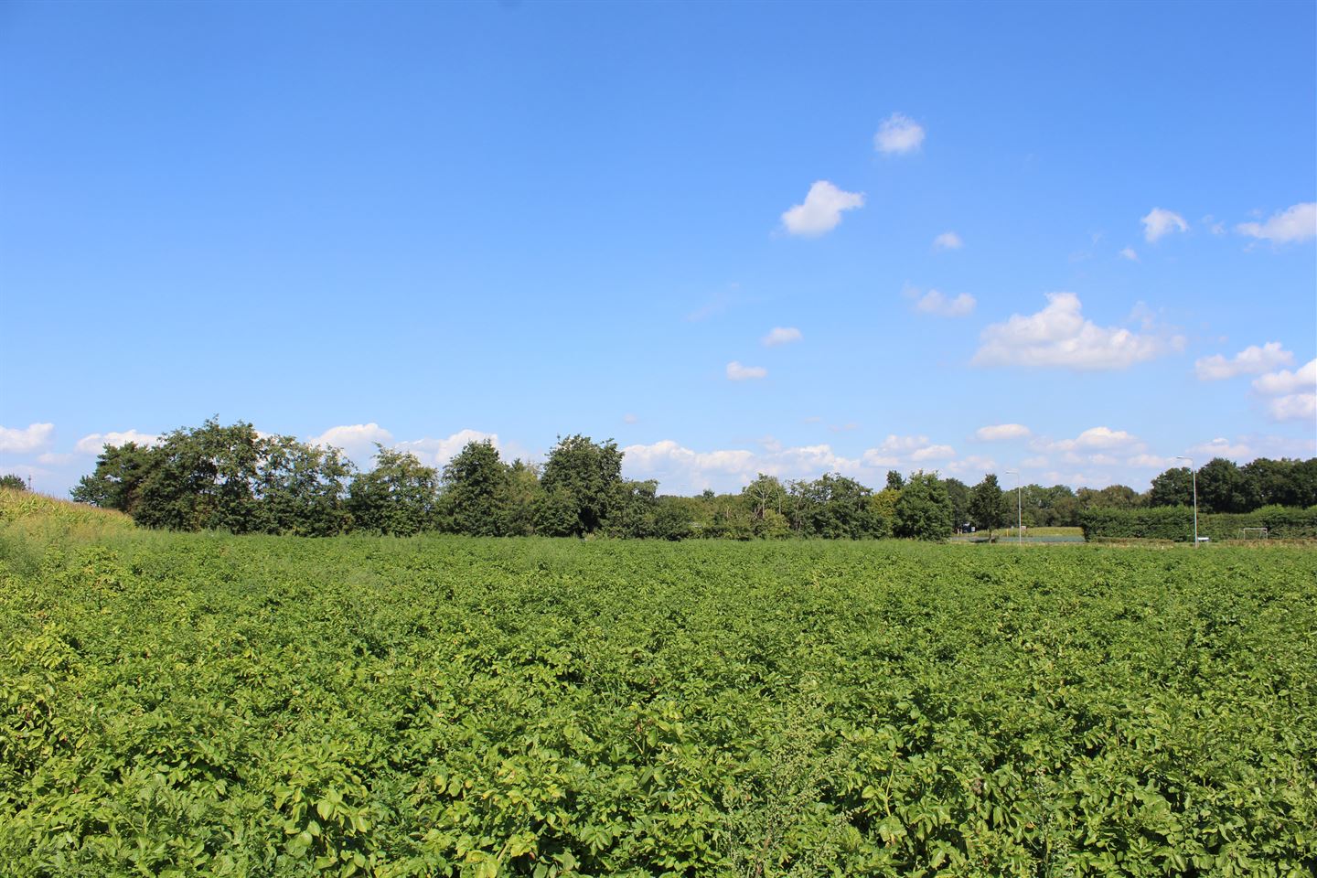 Bekijk foto 5 van Huijbergseweg