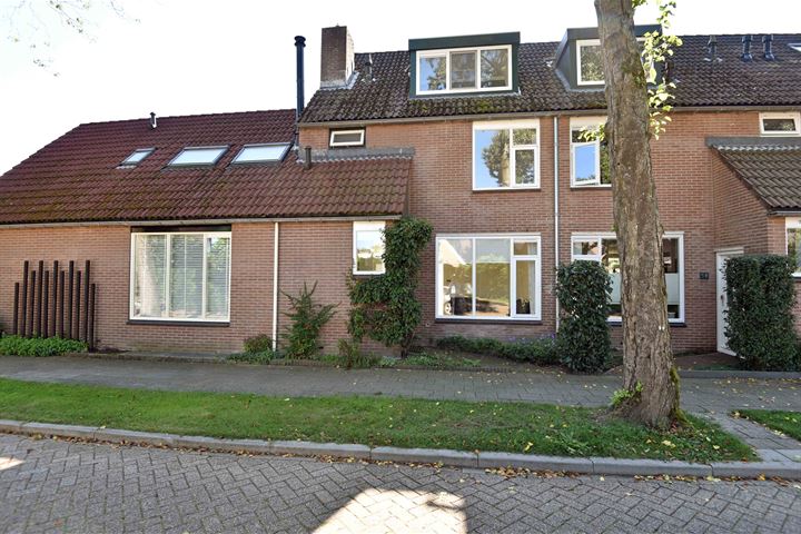 Bekijk foto 2 van Buizerdstraat 56