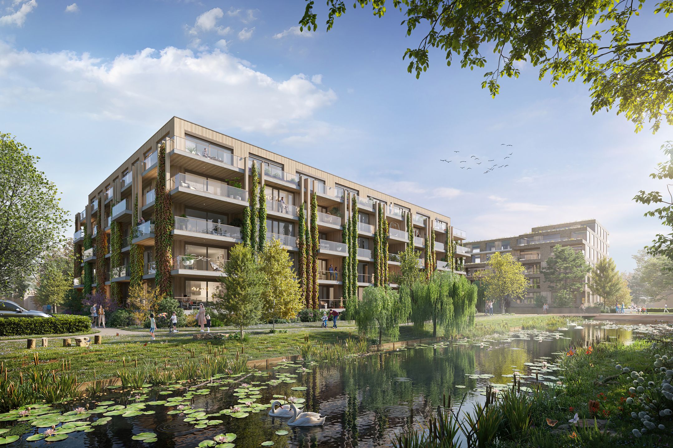 Williams (Bouwnr. 44)