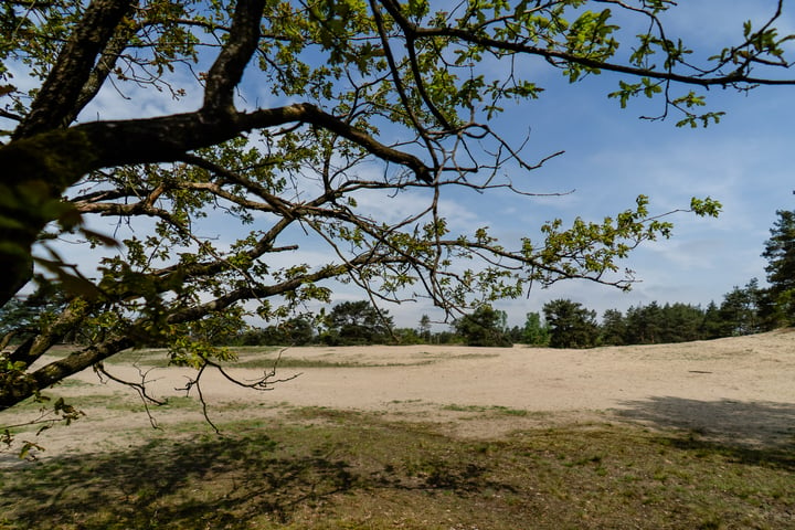 Bekijk foto 31 van Kerkendelweg 30-28