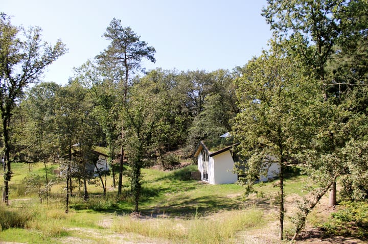 Foto 22 van Bosvilla de Luxe | 47