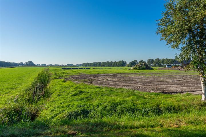 Bekijk foto 3 van Nijeveense Bovenboer