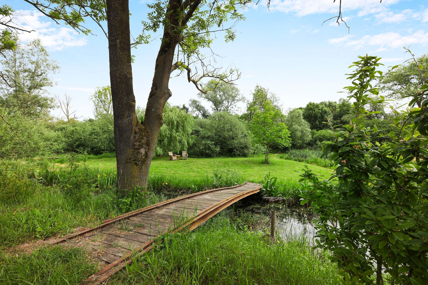 Foto 50 van Groenedijk 1