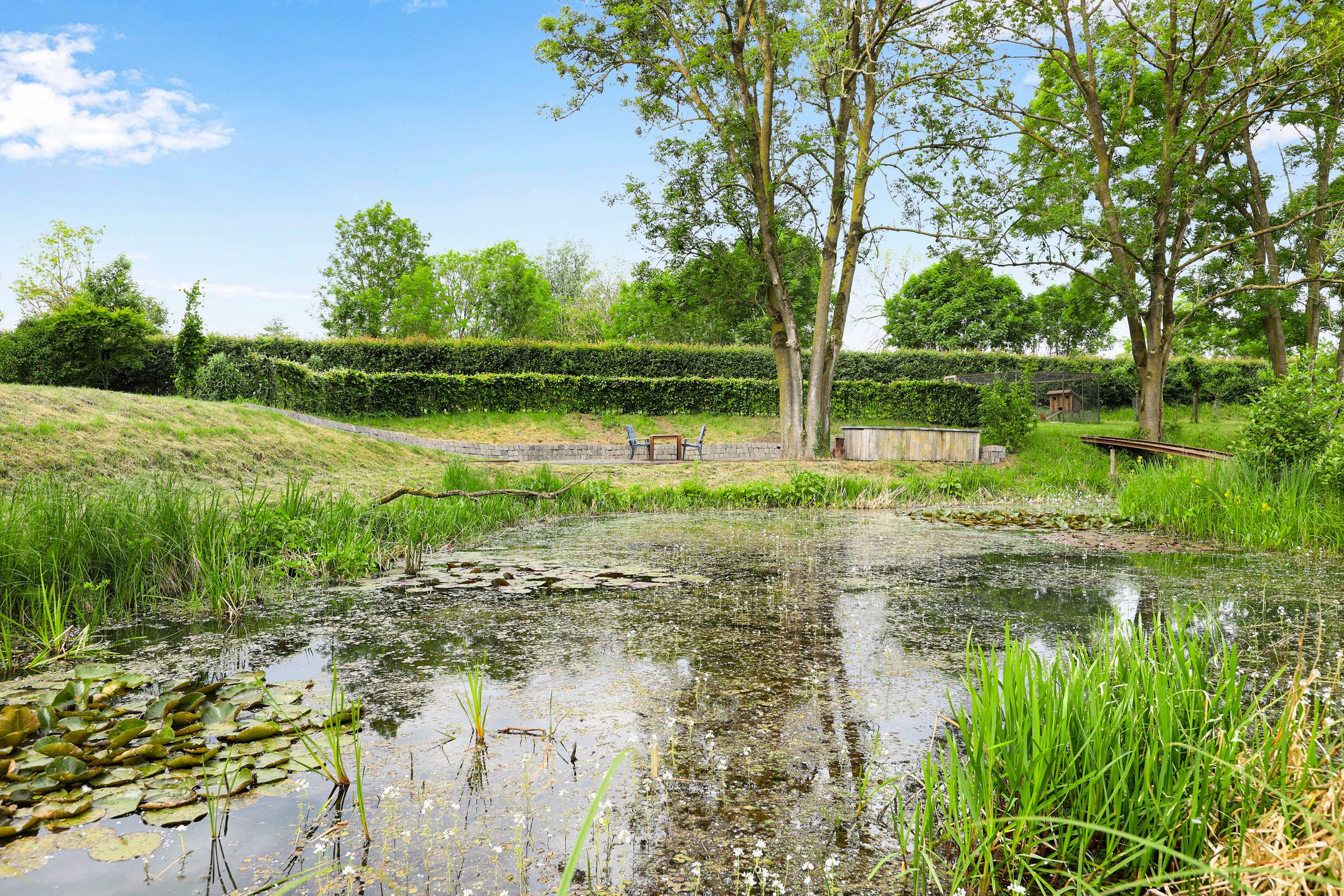 Foto 54 van Groenedijk 1