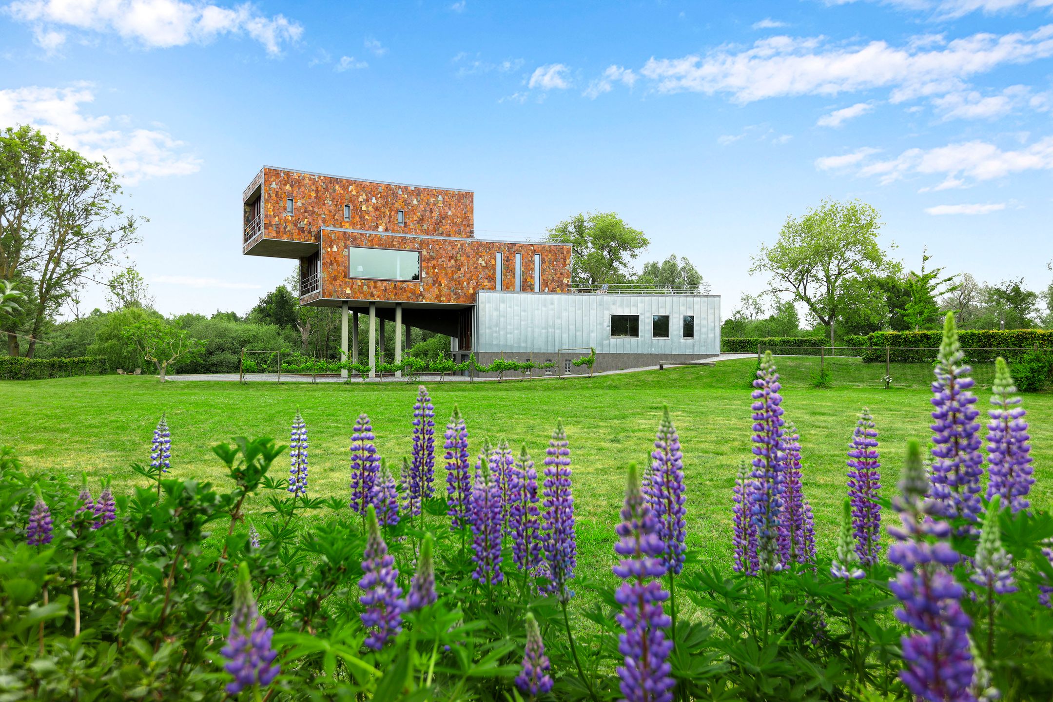 Foto 60 van Groenedijk 1