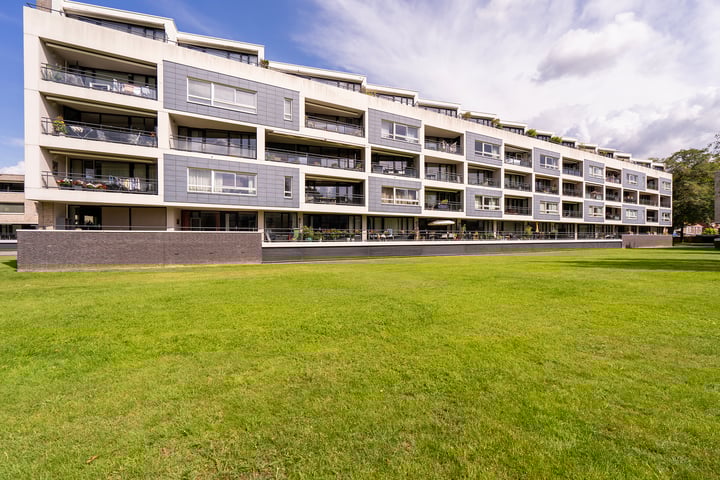Gotenpark 109