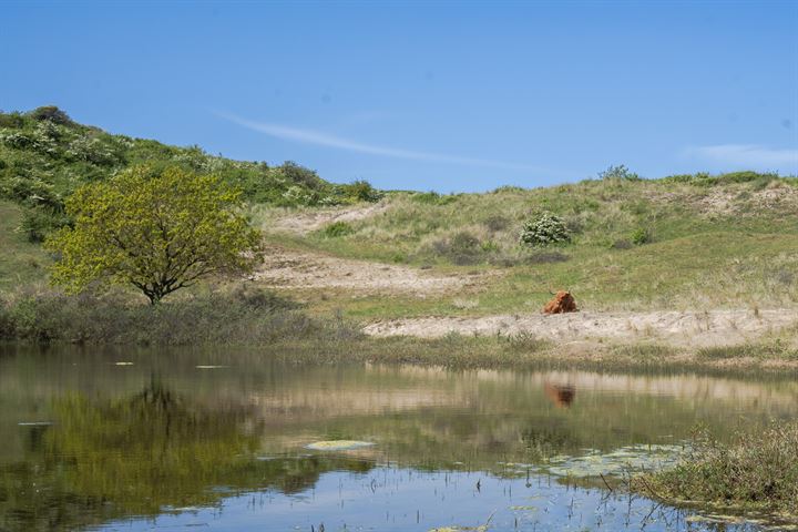 Bekijk foto 29 van Zandweg 3