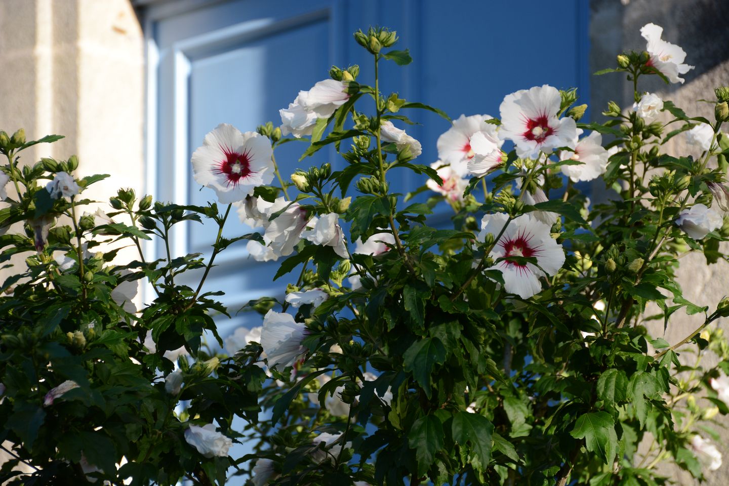 Photo 5 of Impasse des Fours Banaux