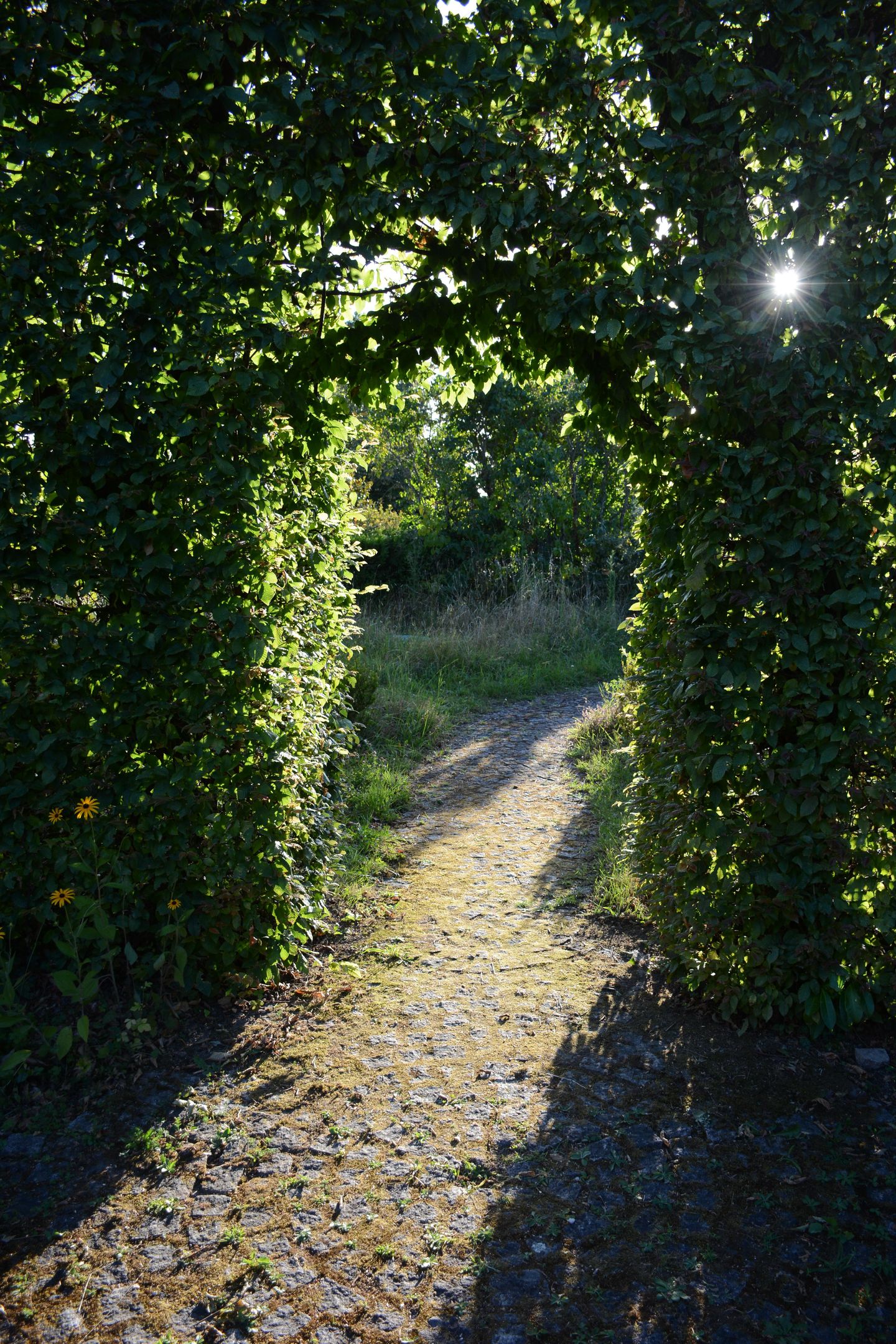 Photo 50 of Impasse des Fours Banaux