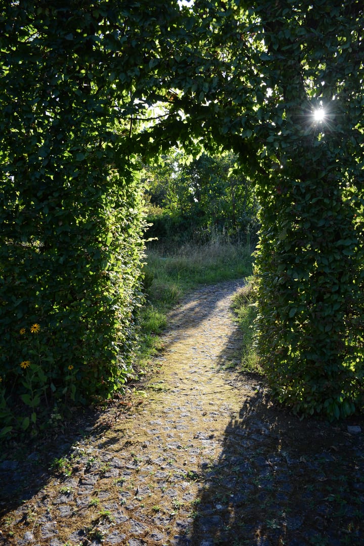 Foto 50 van Impasse des Fours Banaux