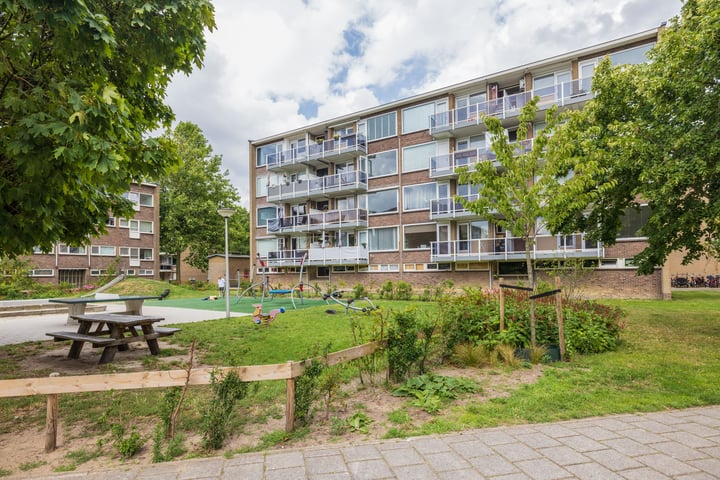 Julianaplantsoen 142