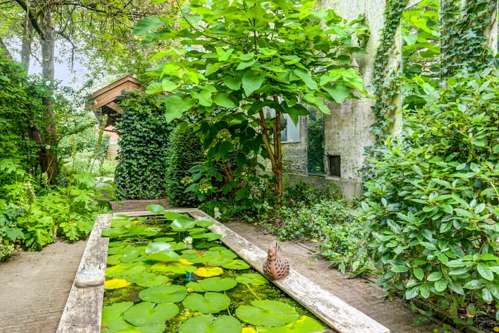 Foto 60 van Oosthaven 15