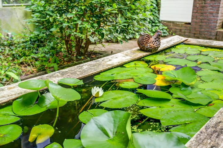 Foto 59 van Oosthaven 15