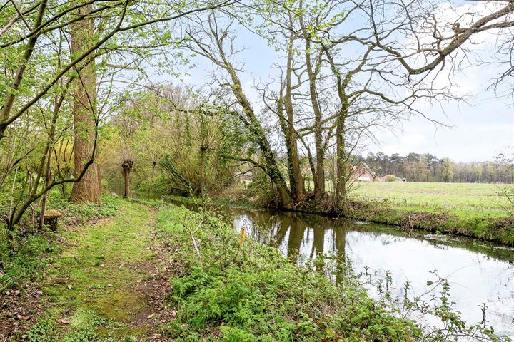 Bekijk foto 41 van Wiersseweg 74