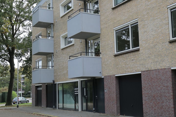 Friezenlaan 238