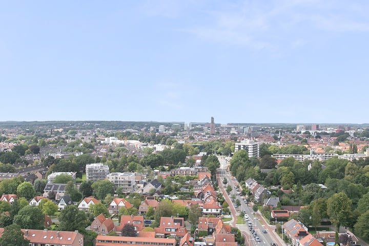 Arabellapad 334