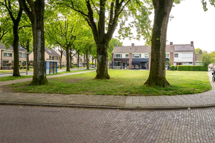 Bekijk foto 42 van Pieter de Molijnstraat 2