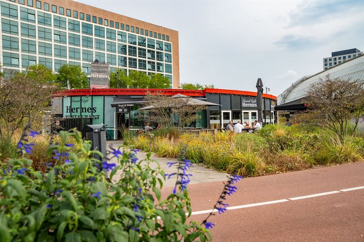 Bekijk foto 40 van Radarweg 266