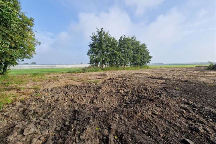 Bekijk foto 12 van Bredeweg 10